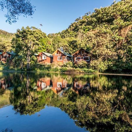 Suenos Del Bosque Lodge San Gerardo de Dota Eksteriør billede