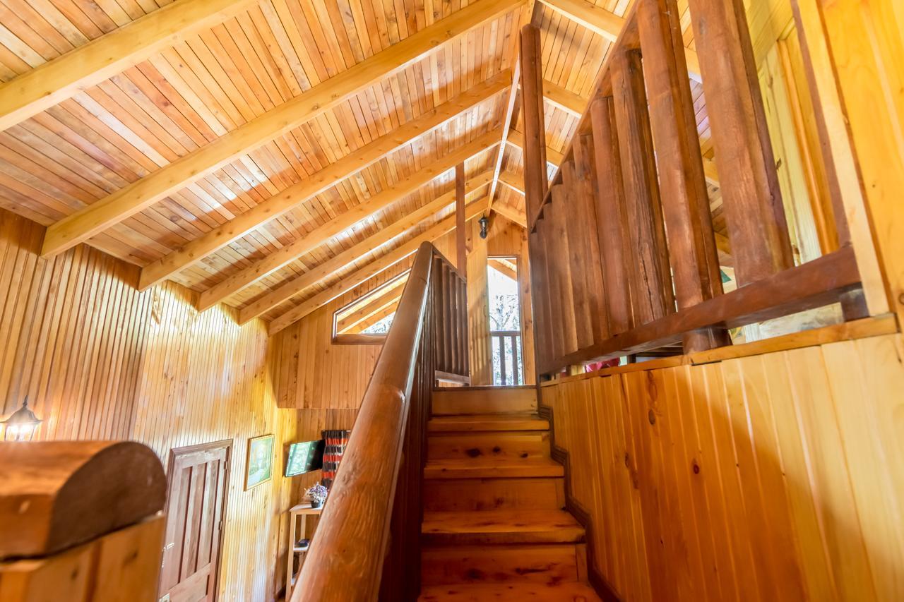 Suenos Del Bosque Lodge San Gerardo de Dota Eksteriør billede