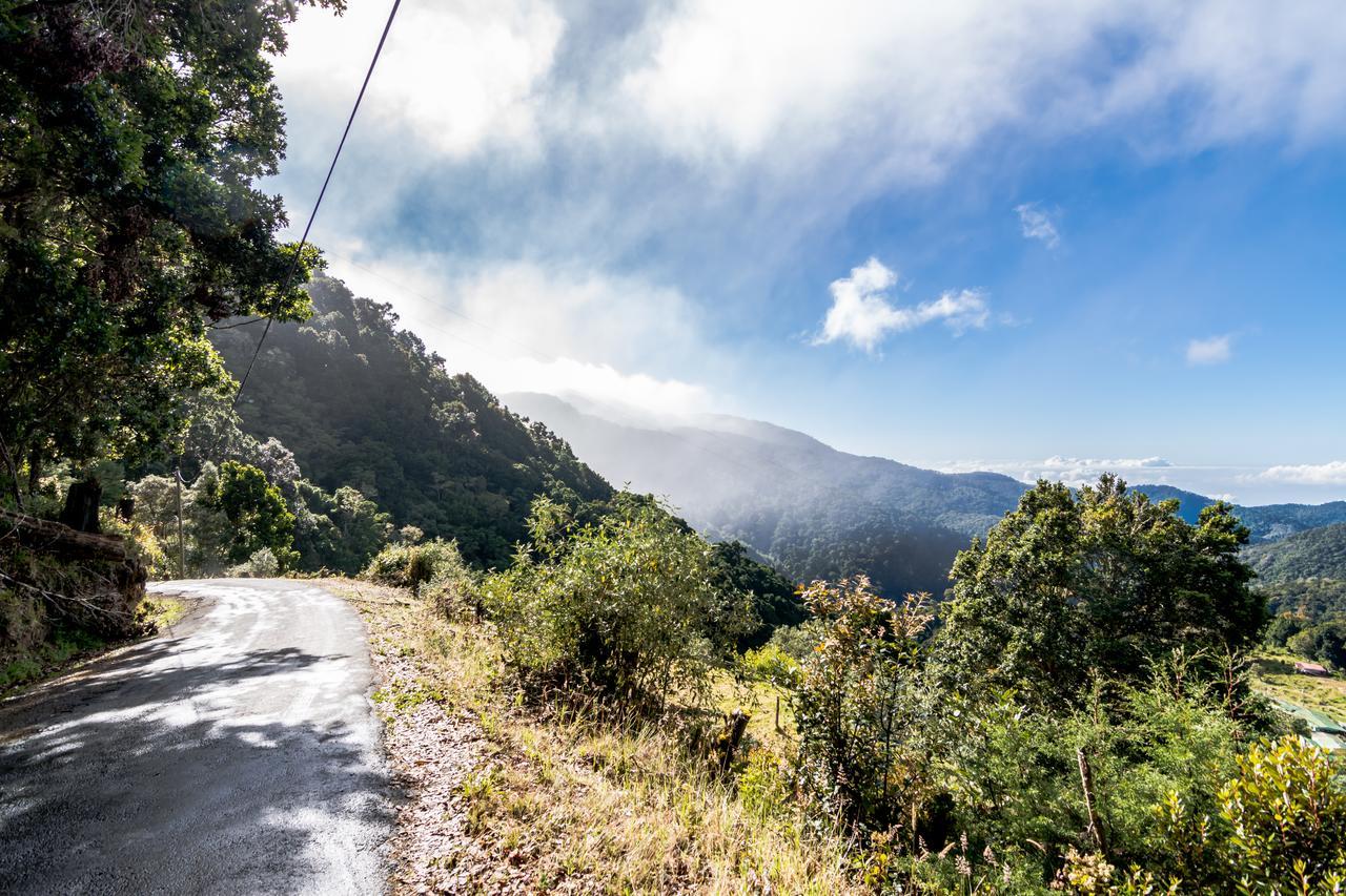 Suenos Del Bosque Lodge San Gerardo de Dota Eksteriør billede