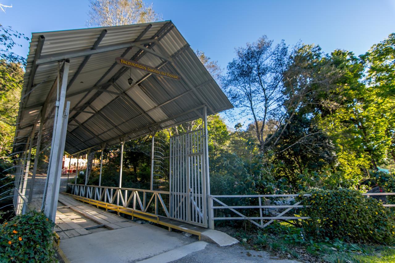 Suenos Del Bosque Lodge San Gerardo de Dota Eksteriør billede