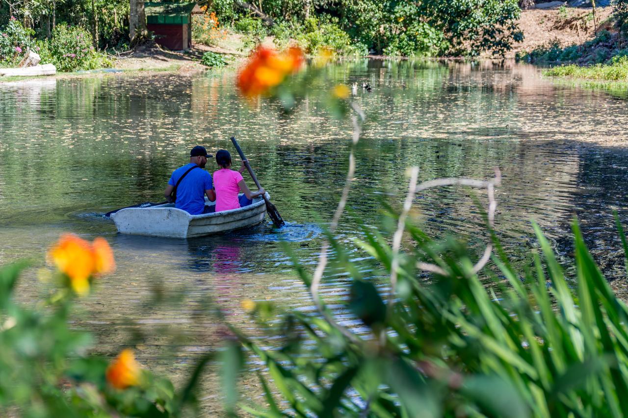 Suenos Del Bosque Lodge San Gerardo de Dota Eksteriør billede