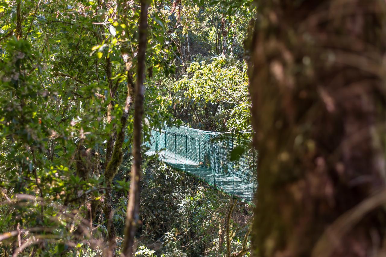 Suenos Del Bosque Lodge San Gerardo de Dota Eksteriør billede