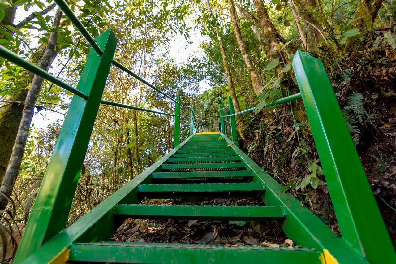 Suenos Del Bosque Lodge San Gerardo de Dota Eksteriør billede