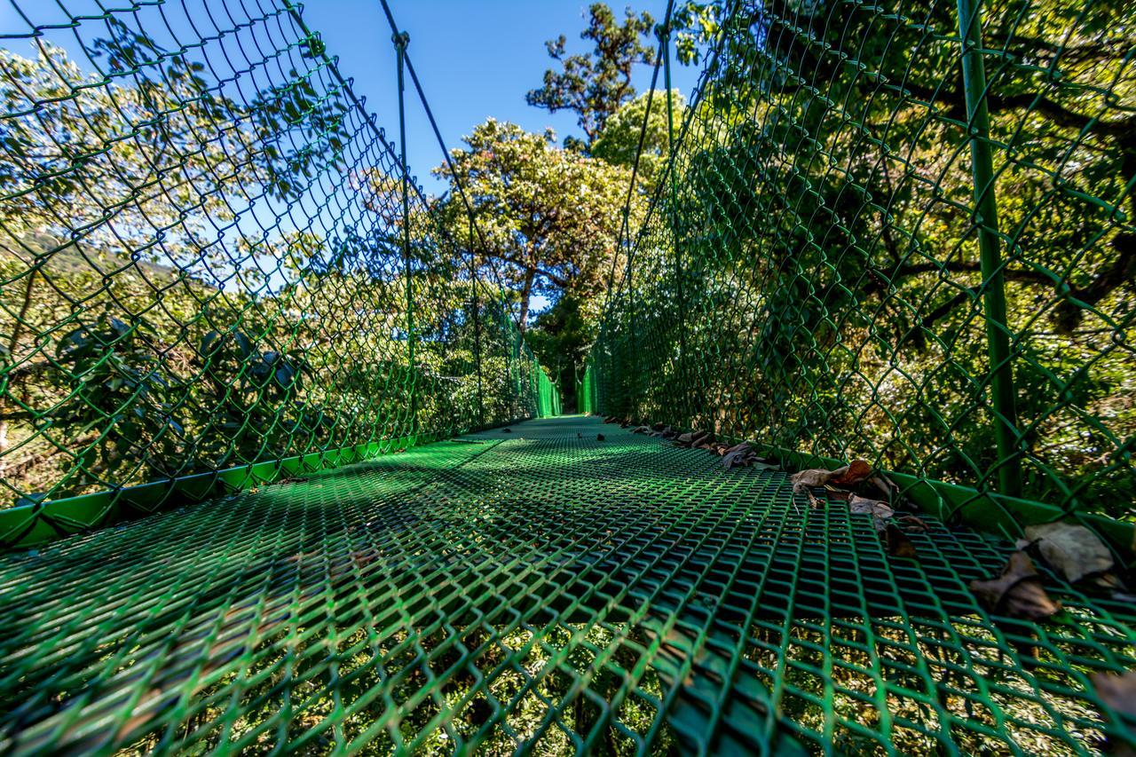 Suenos Del Bosque Lodge San Gerardo de Dota Eksteriør billede