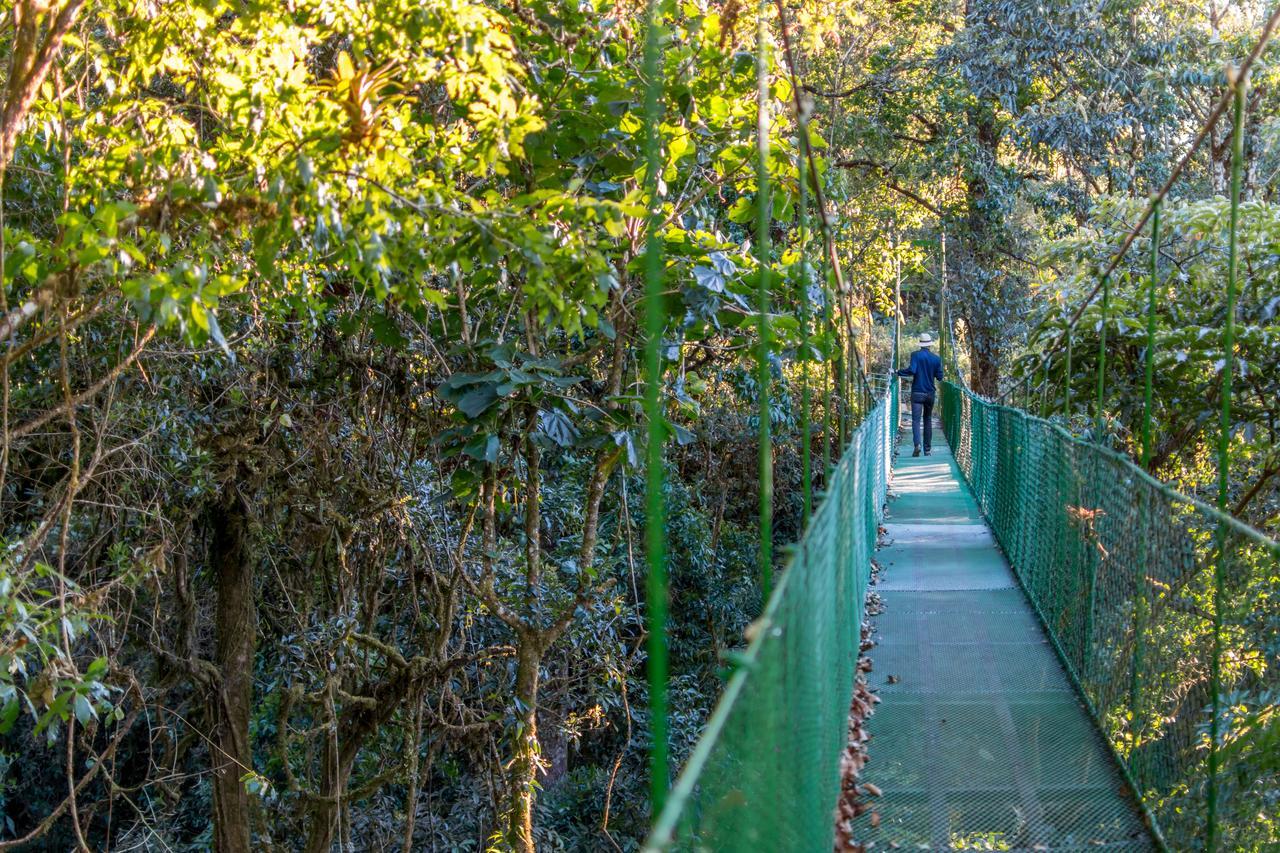Suenos Del Bosque Lodge San Gerardo de Dota Eksteriør billede