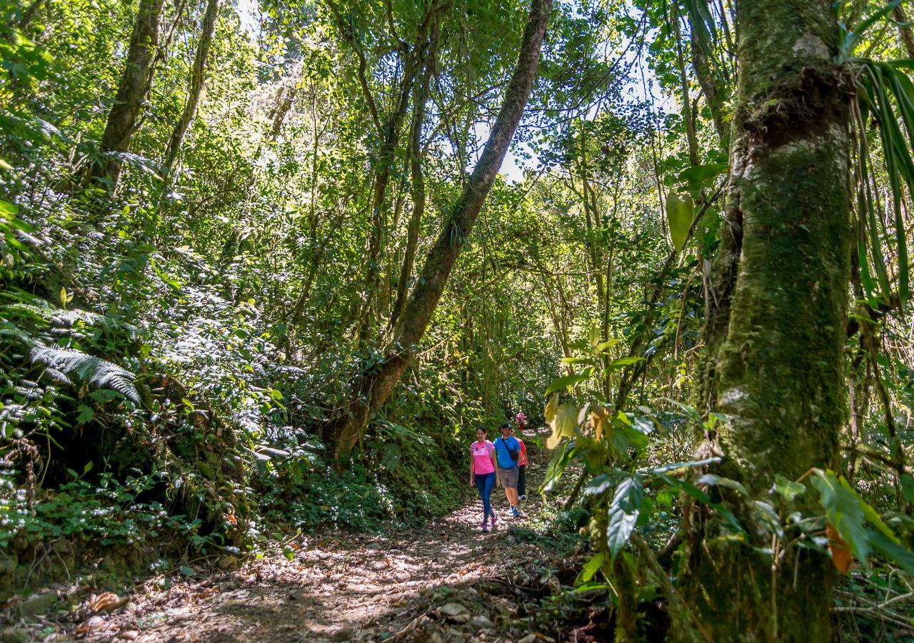 Suenos Del Bosque Lodge San Gerardo de Dota Eksteriør billede